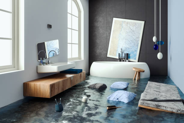 Best Water damage cleanup near me  in Lexington, MO