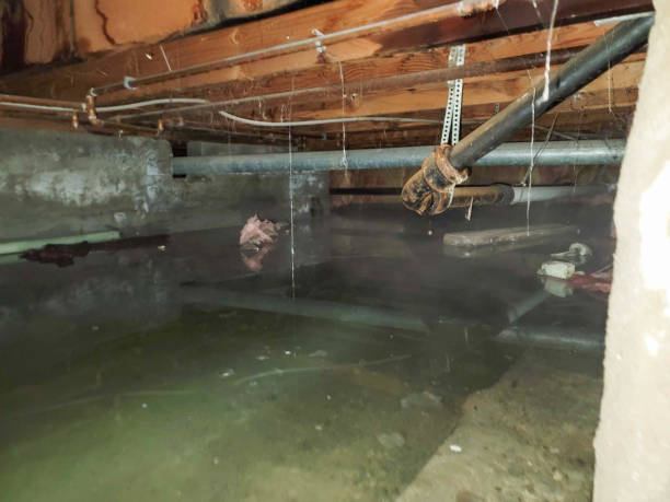 Water damage restoration process in MO