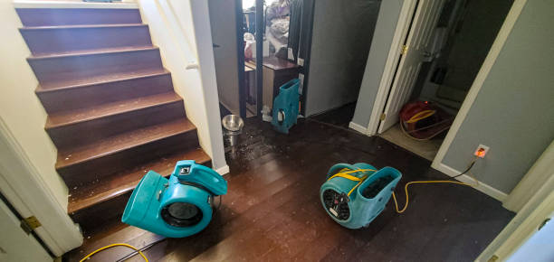 Best Local water damage restoration  in Lexington, MO