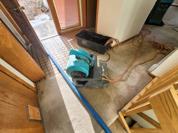 , MO Water damage restoration Company