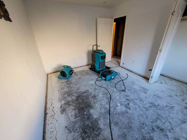 Best Sewage cleanup and water damage restoration  in Lexington, MO