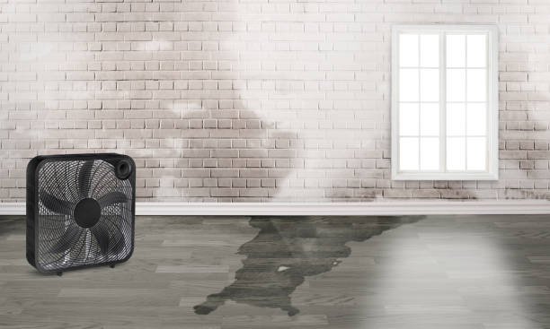 Best Emergency water damage restoration  in Lexington, MO