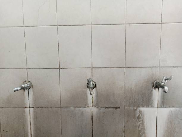 Best Water damage cleanup near me  in Lexington, MO