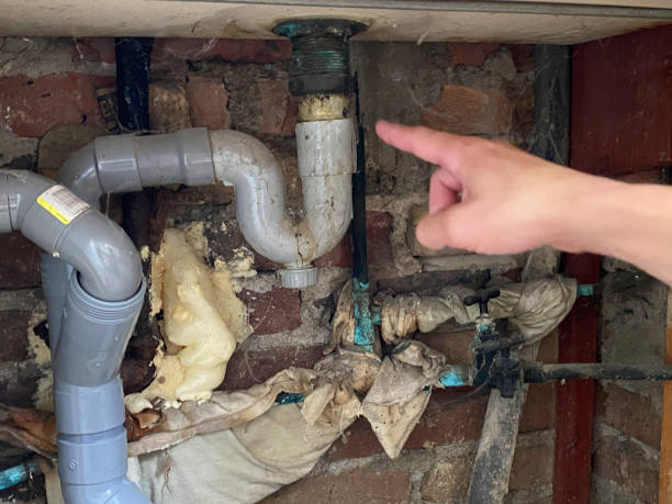 Best Carpet water damage restoration  in Lexington, MO