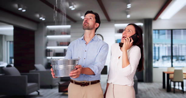 Best Ceiling water damage repair  in Lexington, MO