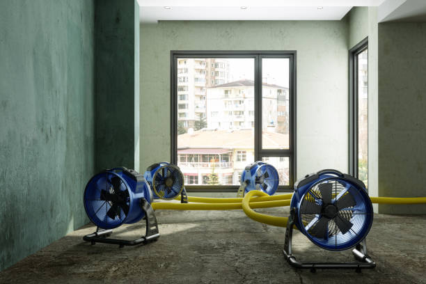 Best Basement water damage restoration  in Lexington, MO